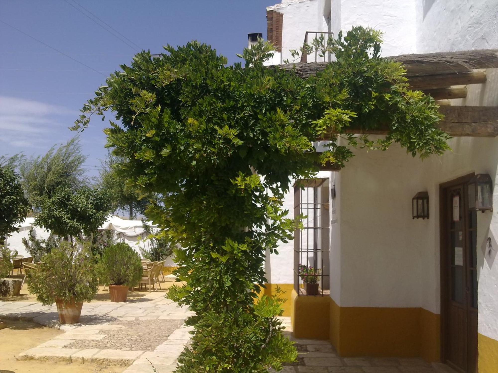 Posada De Jose Mª El Tempranillo Alameda Bagian luar foto